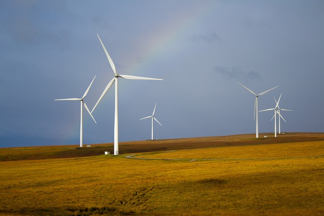 Strøm i timevis: Hvad bestemmer din generators ydeevne?