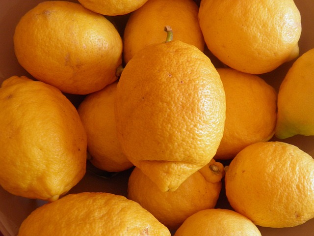 Citrontræets hemmeligheder: Sådan får du saftige citroner året rundt